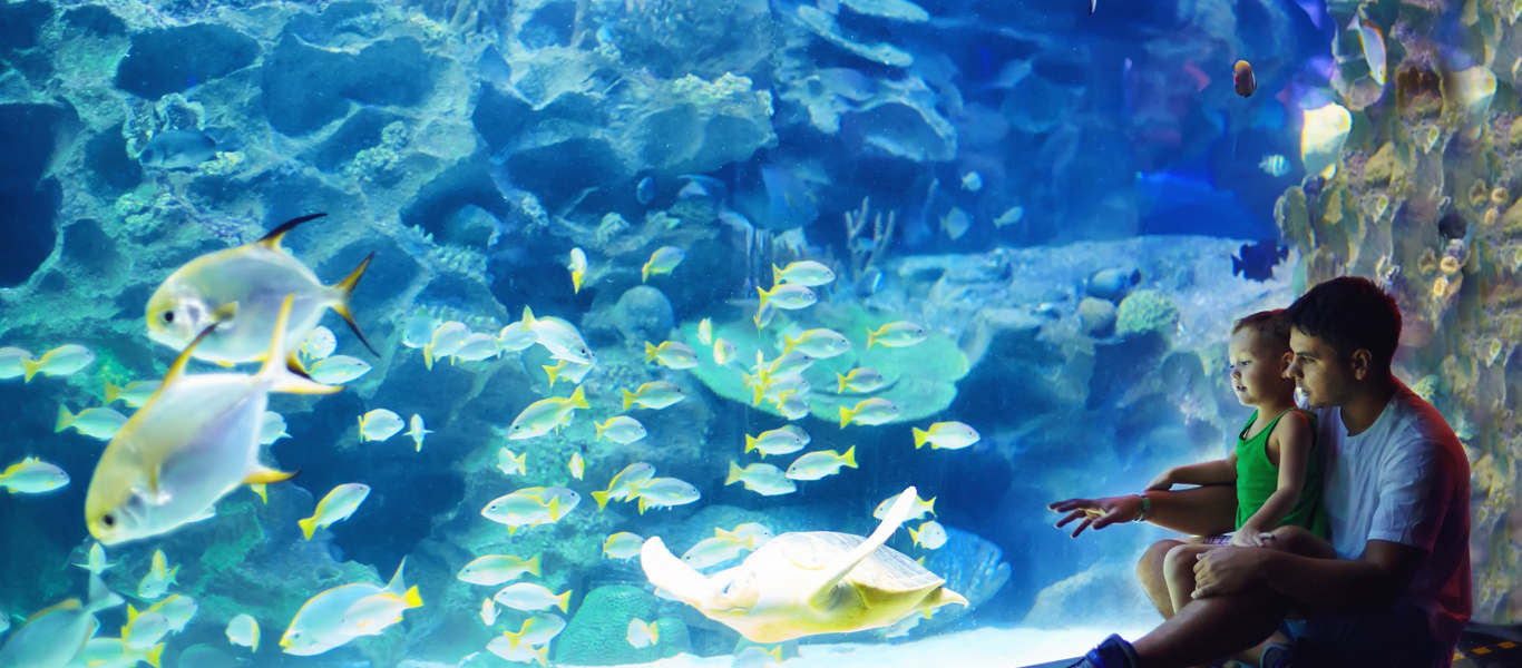 Georgia Aquarium